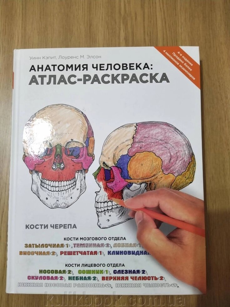 Книга Анатомія людини. Атлас-розмальовка від компанії Буксукар - фото 1