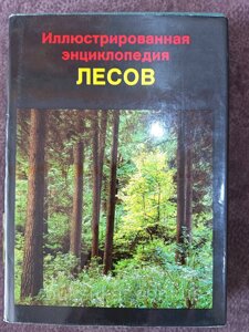Книга Ілюстрована енциклопедія лісів (б/у)