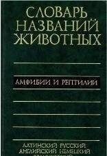 П'ятимовний словник назв тварин. Амфібії та рептилії