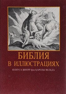 Біблія в ілюстраціях Юліуса Шнорр фон Карольсфельда Б/У