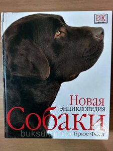 Судороги у собаки или кошки - причины, что делать для оказания первой помощи