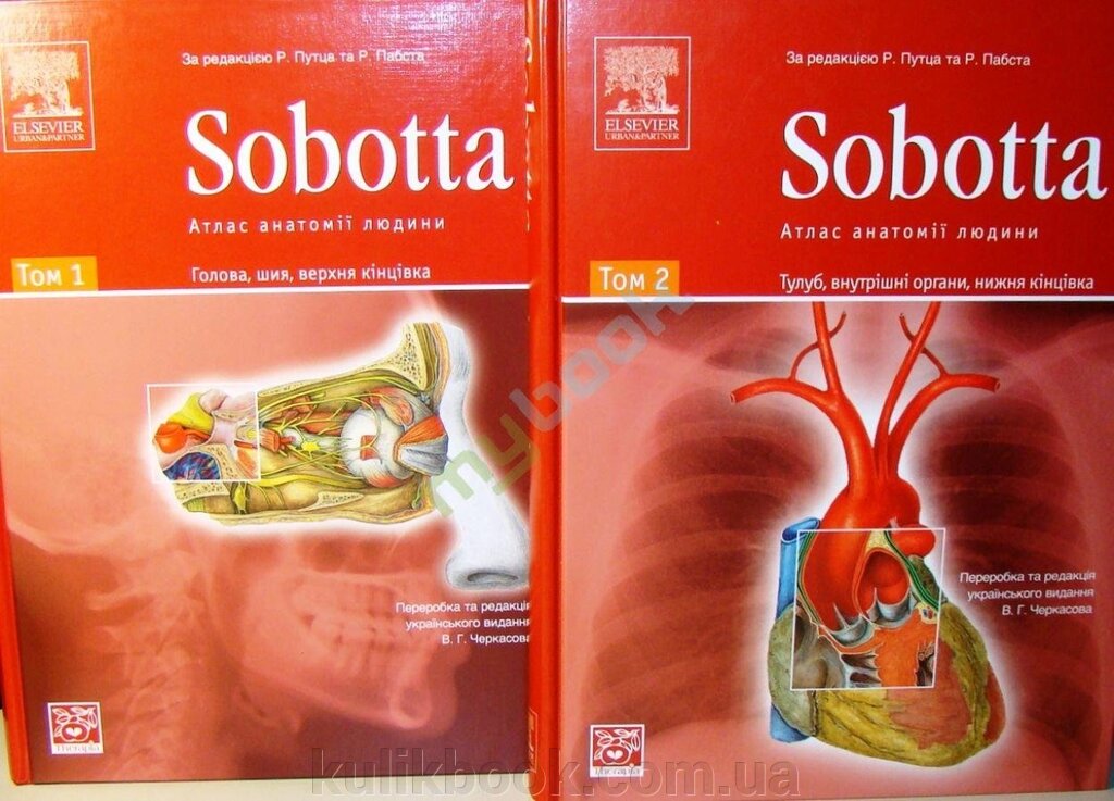 Sobotta. Атлас анатомії людини у 2-х томах від компанії Буксукар - фото 1