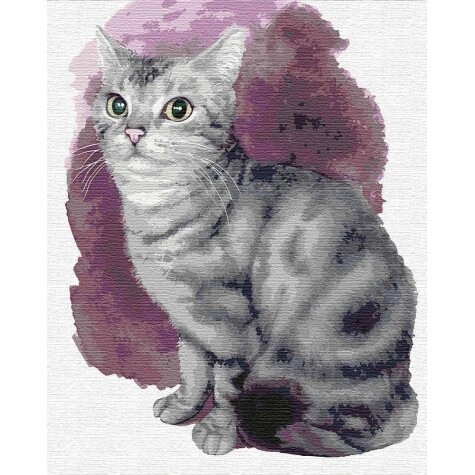 KH4187 Маленький кошеня Картина за номерами на полотні 40х50см від компанії Кратус - фото 1