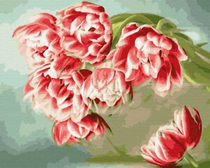 KGX 33221 Рожеві тюльпани Картина за номерами на полотні 40х50см