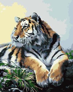 KHO 2460 "Гордий тигр" Розпис по номерам на полотні (без коробки) 40х50см