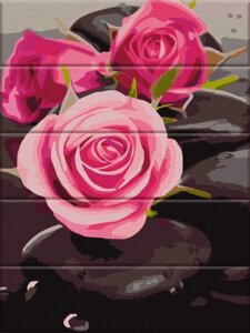 Картина за номерами на дереві ArtStStory Троянди на каменях 30х40 см (ASW 081)