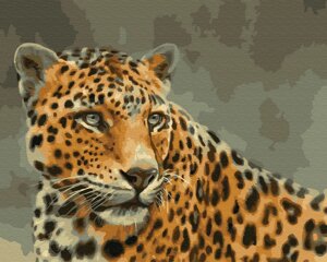 KGX 33731 Леопард Картина за номерами на полотні 40х50см