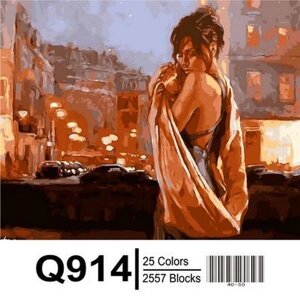 Q914 "Обійми нічного міста" За номерами на полотні 40х50см