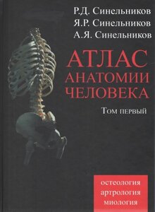 Атлас людської анатомії. Синельников у 4 томах. Том 1. Вчення про кістки, поєднання кісток та м’язів