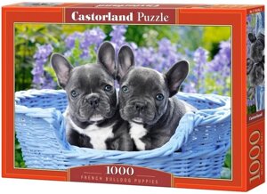 Castorland Puzzle 1000. French Bulldog Puppies / Цуценята французького бульдога