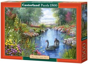 Castorland Puzzle 1500. Black Swans, Andres Orpinas / Чорні лебеді