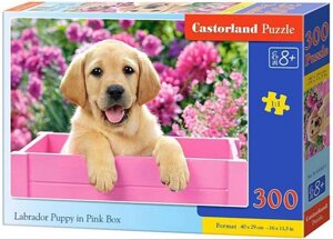Castorland Puzzle 300. Labrador Puppy in Pink Box / Цуценя лабрадора в рожевій коробці