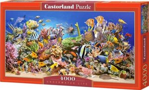 Castorland Puzzle 4000. Underwater Life / Підводний світ