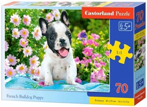 Castorland Puzzle 70. French Bulldog Puppy / Цуценя французького бульдога