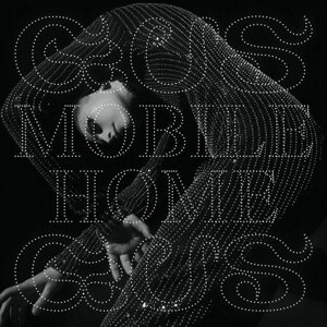 Gusgus – Mobile Home (Vinyl)