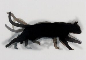Muybridge, CAT ( ART / animals )