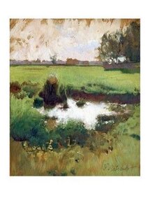 На лугах. Болітце