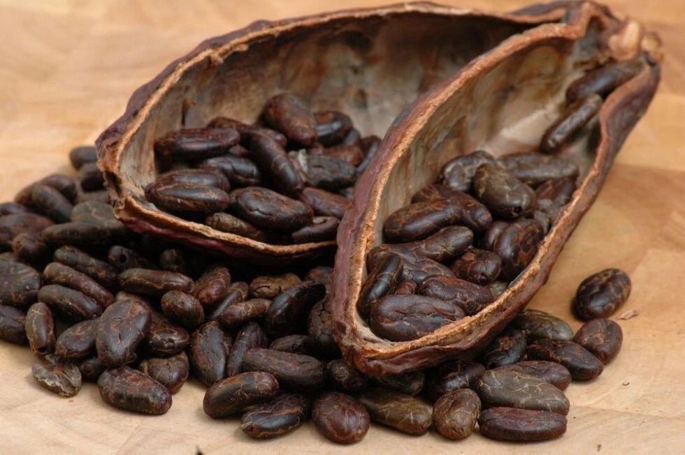 Какао боби 1 кг. від компанії Еко Планета - фото 1