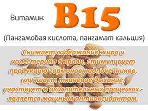 Вітамін B15 (пангамовая кислота)