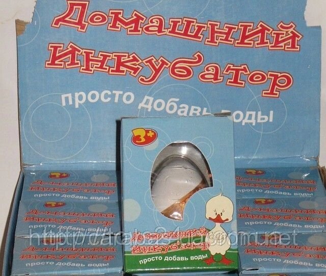 Домашній інкубатор від компанії Інтернет-магазин «Світ подарунків» - фото 1