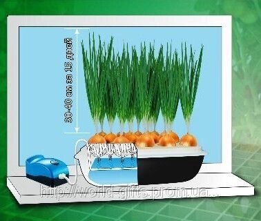Домашня установка для вирощування зеленого лука Чудоріст від компанії Інтернет-магазин «Світ подарунків» - фото 1