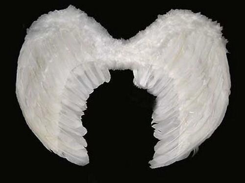 Крила ангела пір'яні від компанії Інтернет-магазин «Світ подарунків» - фото 1