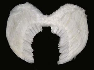 Крила ангела пір'яні