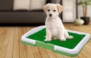 Лоток для собак - Puppy Potty Pad від компанії Інтернет-магазин «Світ подарунків» - фото 1