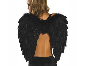Крила ангела великі чорні