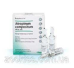 Атропінум композітум, Хель, Германия, 5 мл №5 (спазми,біль) від компанії Медовий Рай - фото 1
