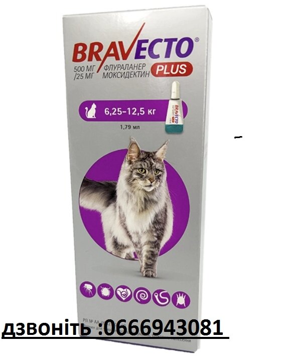 Бравекто Спот-он 500мг,  для котів вагою 6,25-12,5кг від компанії Медовий Рай - фото 1