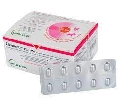 Клавасептин (Clavaseptin) 62,5 мг 10 табл. Vetoquinol для кішок і собак - аналог Синулокс