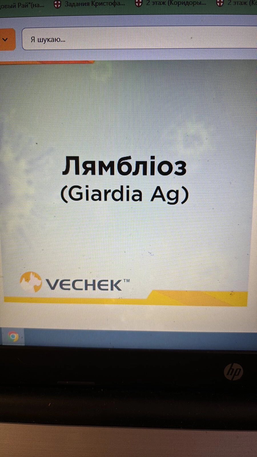 Експрес-тест Лямбіоз Ag (GIA Ag Test), VetLaboratories, Корея від компанії Медовий Рай - фото 1