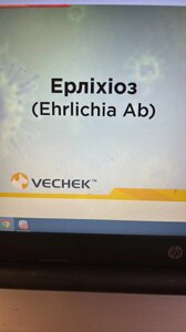 Експрес-тест Ерліхіоз собак Ab Test W81132 (Ehrli Ab) (Quicking Biotech Co, Ltd.) Китай