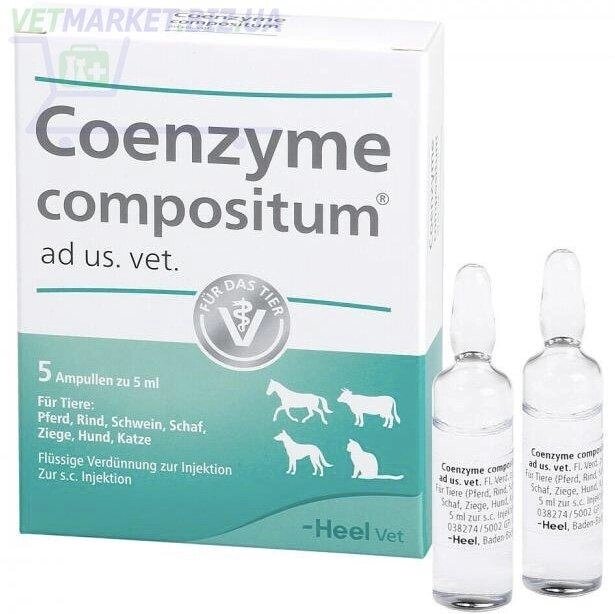 Хель Коензім Композітум амп. 5 амп.(захв. нирок) від компанії Медовий Рай - фото 1
