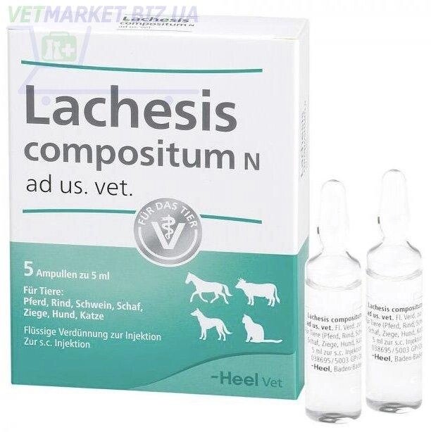 Хель Лахєзіс Композітум амп. 5 амп. (мастометрин) від компанії Медовий Рай - фото 1