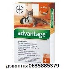 Каплі Bayer Адвантейдж 40 до 4 кг. від компанії Медовий Рай - фото 1