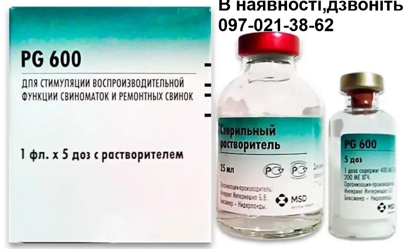 ПГ-600 (PG-600), 1 фл. х 25 мл (5 доз) + розчинник 25 мл, Інтервет від компанії Медовий Рай - фото 1