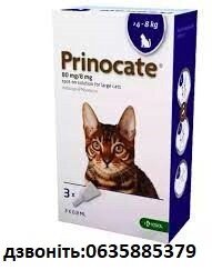 Прінокат (Prinocate) Cпот-он для котів 4-8 кг - краплі від бліх 1піпетка