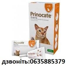 Прінокат (Prinocate) Cпот-он для котів до 4 кг - краплі від бліх.