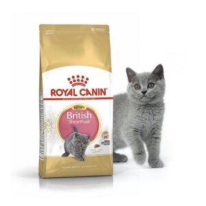 Сухий корм для кошенят породи британська короткошерста Royal Canin Kitten British Shorthair 2 кг