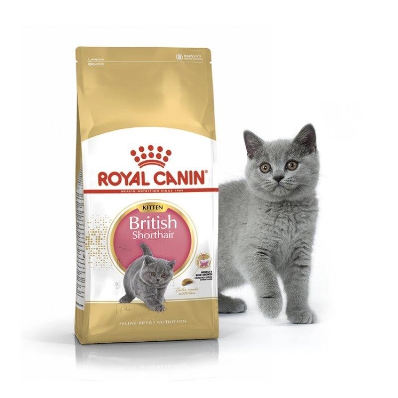 Сухий корм для кошенят породи британська короткошерста Royal Canin Kitten British Shorthair 2 кг від компанії Медовий Рай - фото 1