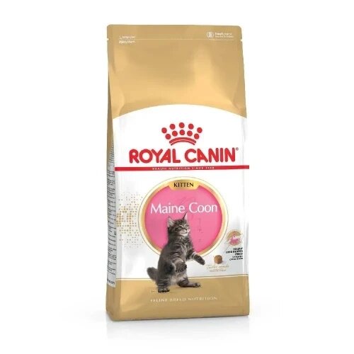 Сухий корм для кошенят породи мейн-кун Royal Canin Kitten Maine Coon 2 кг від компанії Медовий Рай - фото 1