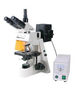 Мікроскоп люмінесцентний XSZ-146TP (FLUO) ULAB від компанії ТОВ "УкрАналітіка" - фото 1