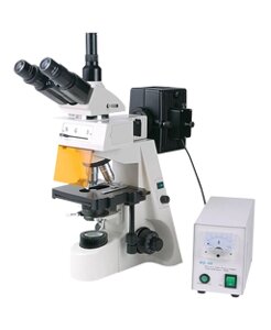 Мікроскоп люмінесцентний XSZ-146TP (FLUO) ULAB