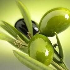 Сквалан оливковый 10 мл