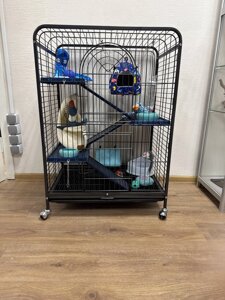 Клітка-вольєр з поличками 93x62x45см