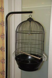 Чорна кругла клітка для середніх папуг (діаметр 40 см, висота 70 см)