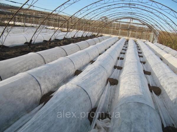 Агроволокно біле "Greentex" 23 гр / м2 ширина 12,65 м, довжина рулону 100 м, ущільнені краю від компанії ТОВ "НВК Агро Рост" - фото 1