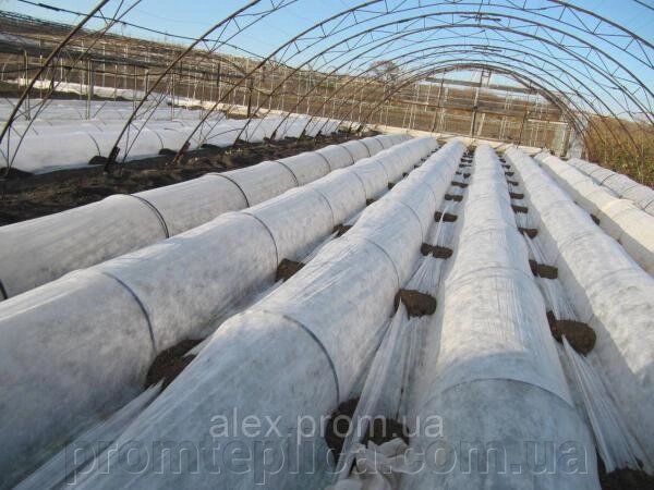 Агроволокно біле "Greentex" 50 г / м2; ширина 1,6 м, довжина рулону 100 м від компанії ТОВ "НВК Агро Рост" - фото 1